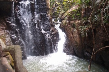 PA147721.jpg