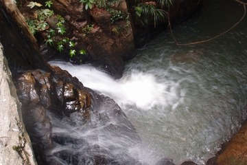 PA147723.jpg