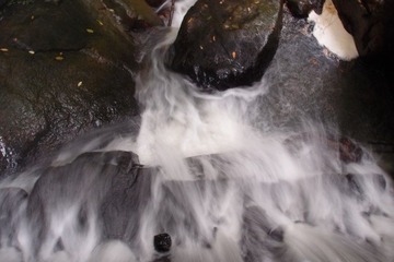 PA147725.jpg