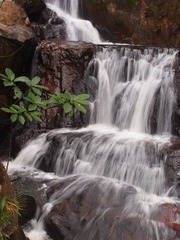 PA147729.jpg