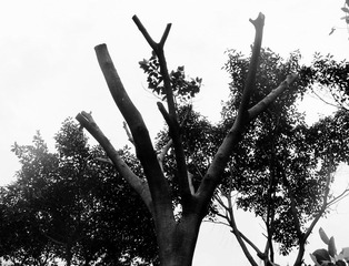 PC027850.jpg
