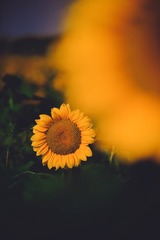 95924