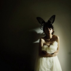 M. Butterfly 6/365