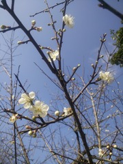 1404050