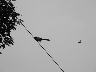 DSCN2790.JPG