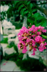 1900IMGP1405