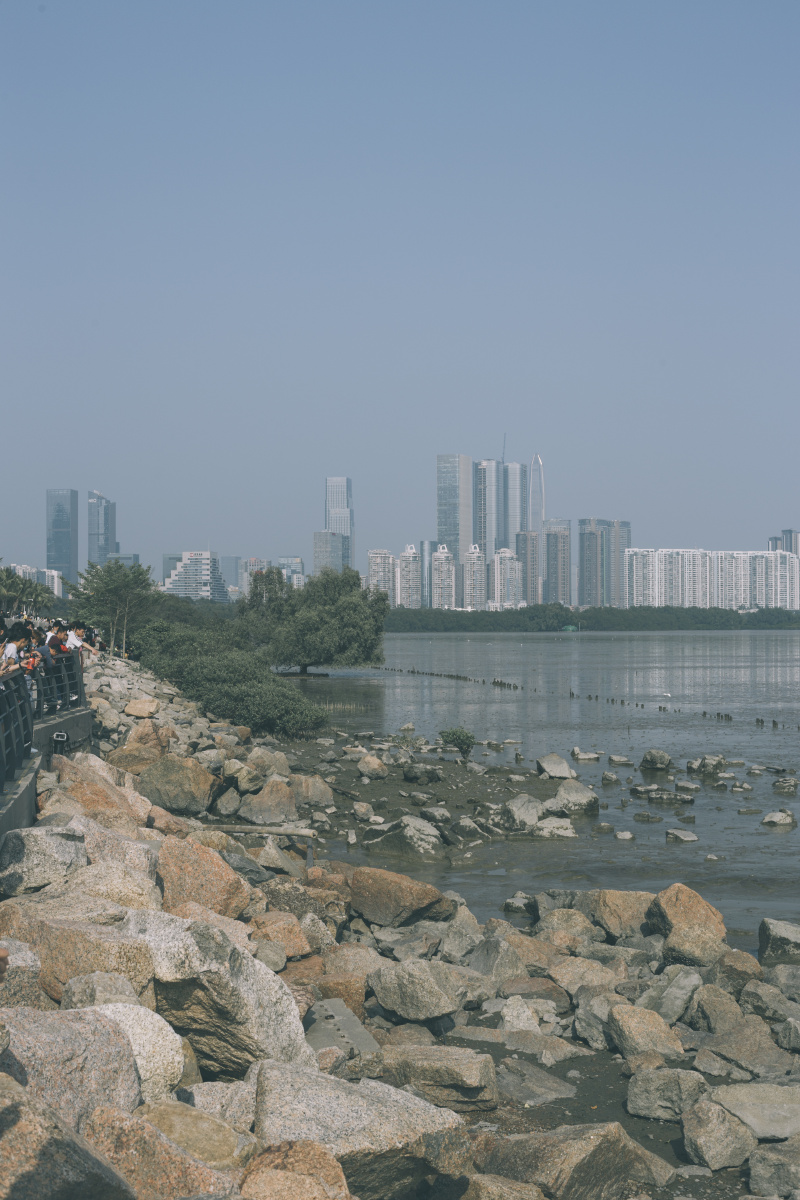 深圳湾公园