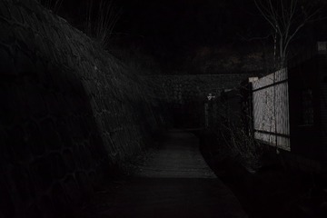 DP2M0019 拷贝