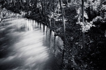 Untitled-199-222.jpg