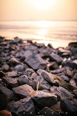 “WEN_2460”为智能对象-1S.jpg