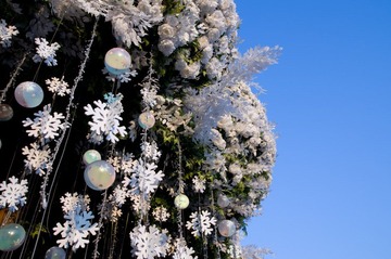 20120130-DSC07711.jpg