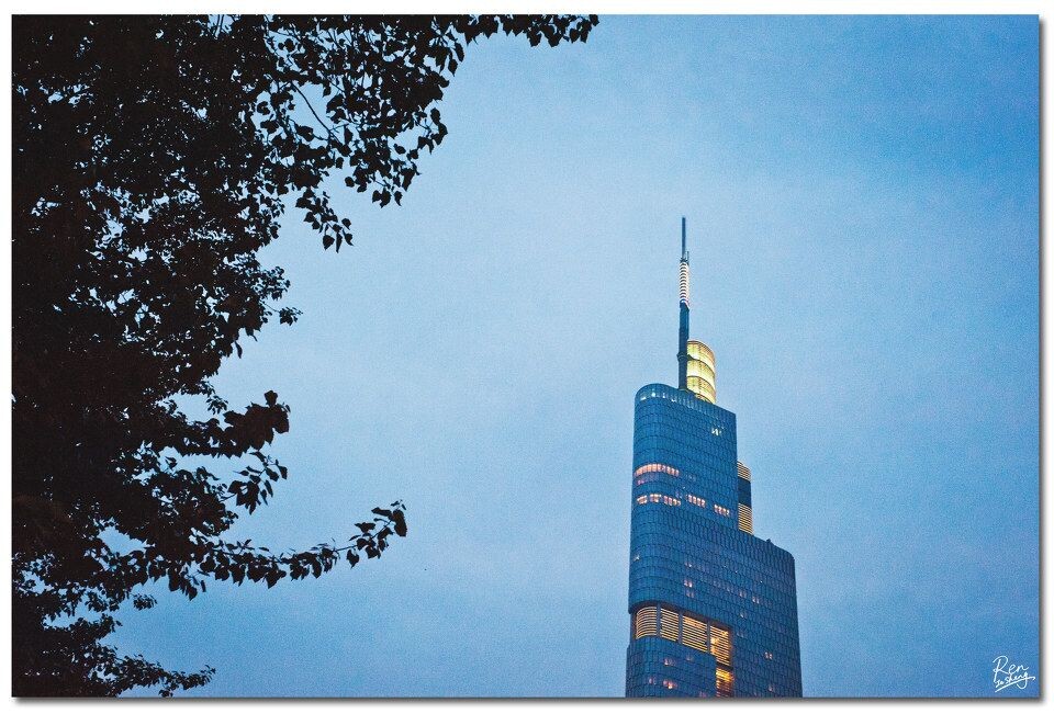 2012.07.12 南京的标志是树 不是建筑<br />
