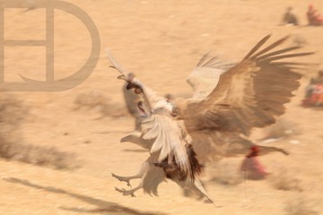 IMG_9841 副本.jpg