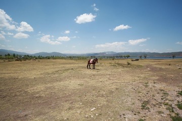 IMG_0547.jpg