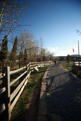 IMG_0733.jpg