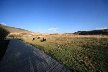 IMG_0730.jpg