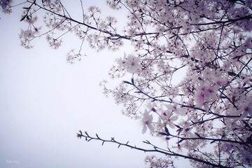 3月13日