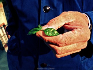 hand 4