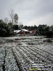 山村雪景