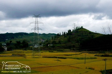 空山新雨后
