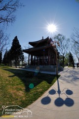 天津水上公园