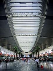 CIMG0257-1.jpg