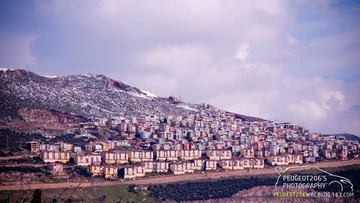DSC_5869-1.jpg