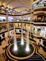 CIMG1729-1.jpg
