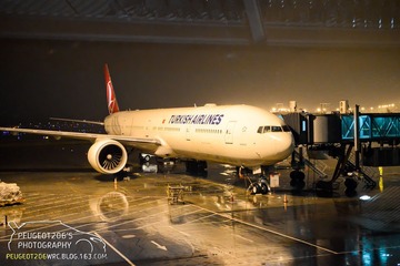 DSC_0276-1.jpg