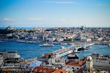 DSC_0531-1-2.jpg