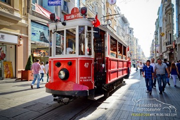 DSC_0497-1.jpg