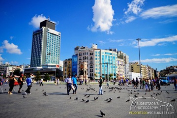 DSC_0492-1.jpg