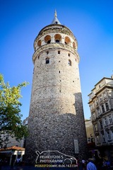 DSC_0515-1.jpg