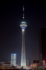 PGT_1311s.jpg