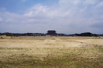 野茫茫