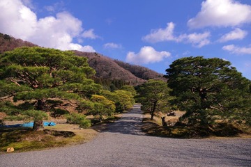 离宫道