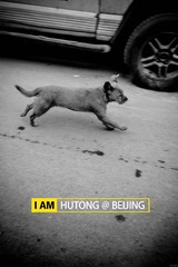 奔跑的狗.jpg