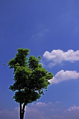 HDR小石湖 叁