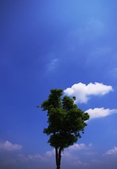 纯粹的色彩