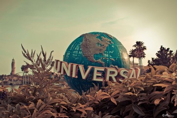universal bird nest