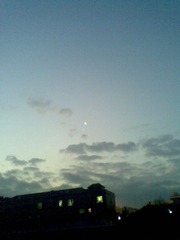 20110301193