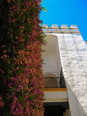 SPAIN13