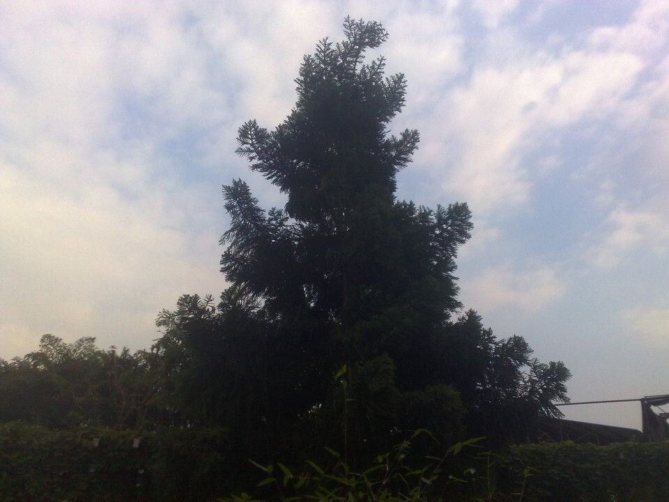花博会<br />

