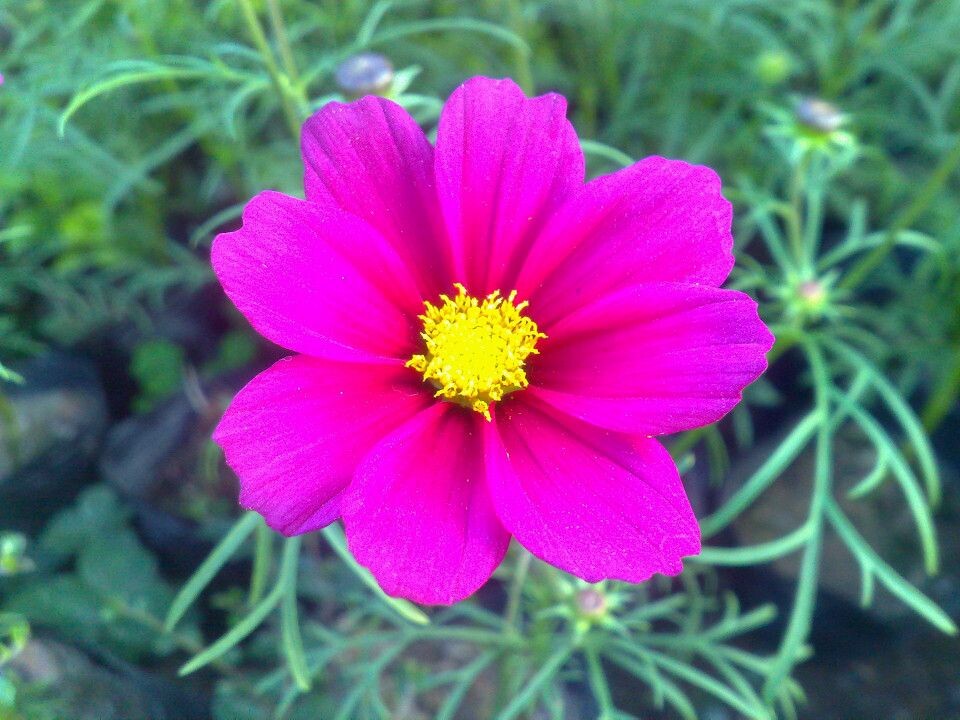 花博会<br />

