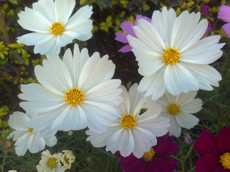 花博会<br />
