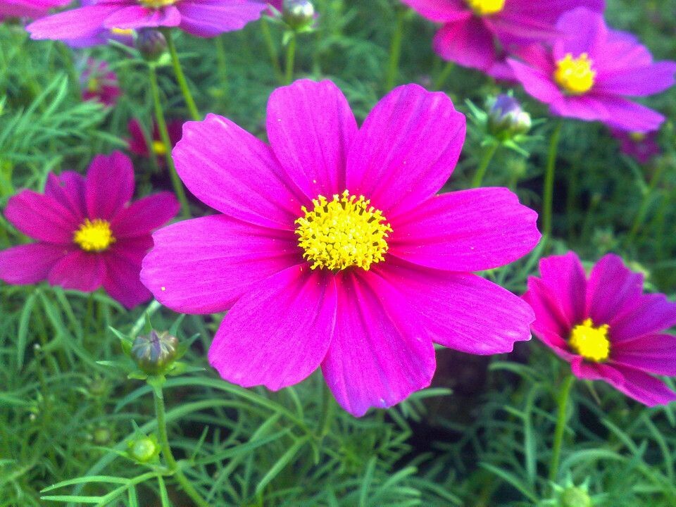 花博会<br />
