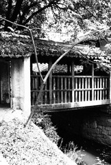Mudu Town of Suzhou 苏州木渎镇