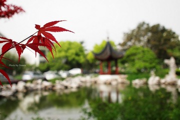 Garden Hotel Suzhou 苏州南园宾馆