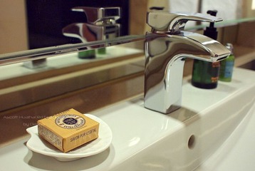 Ascott Huai Hai Road Shanghai-sink 上海雅诗阁淮海路服务公寓-洗脸池
