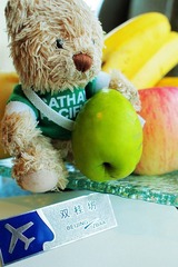 My CX Bear at Shangri-la Hotel Chengdu